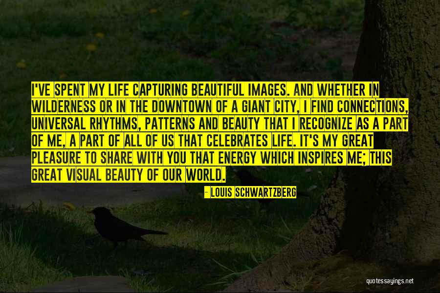 The Beauty Of Our World Quotes By Louis Schwartzberg The Beauty Of Our World Quotes By Louis Schwartzberg