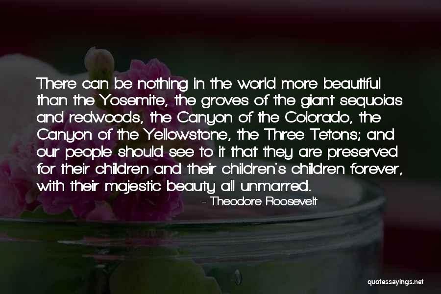 The Beauty Of Our World Quotes By Theodore Roosevelt The Beauty Of Our World Quotes By Theodore Roosevelt