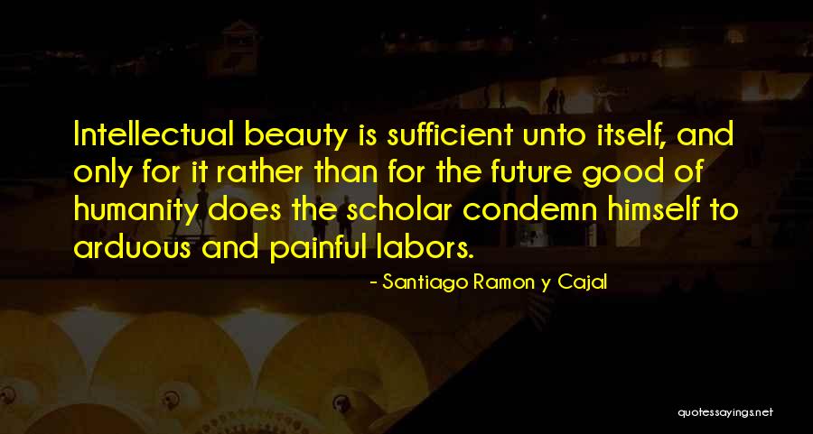 The Beauty Of Science Quotes By Santiago Ramon Y Cajal The Beauty Of Science Quotes By Santiago Ramon Y Cajal