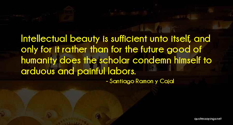 The Beauty Of Science Quotes By Santiago Ramon Y Cajal