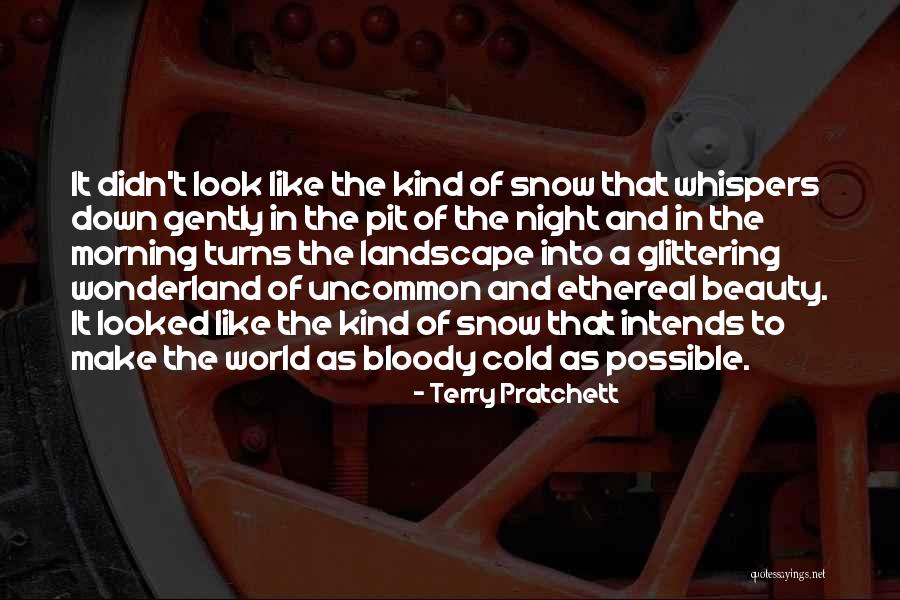The Beauty Of Snow Quotes By Terry Pratchett The Beauty Of Snow Quotes By Terry Pratchett
