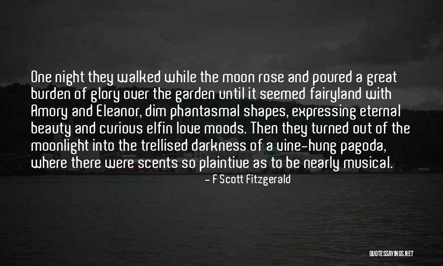 The Beauty Of The Night Quotes By F Scott Fitzgerald The Beauty Of The Night Quotes By F Scott Fitzgerald