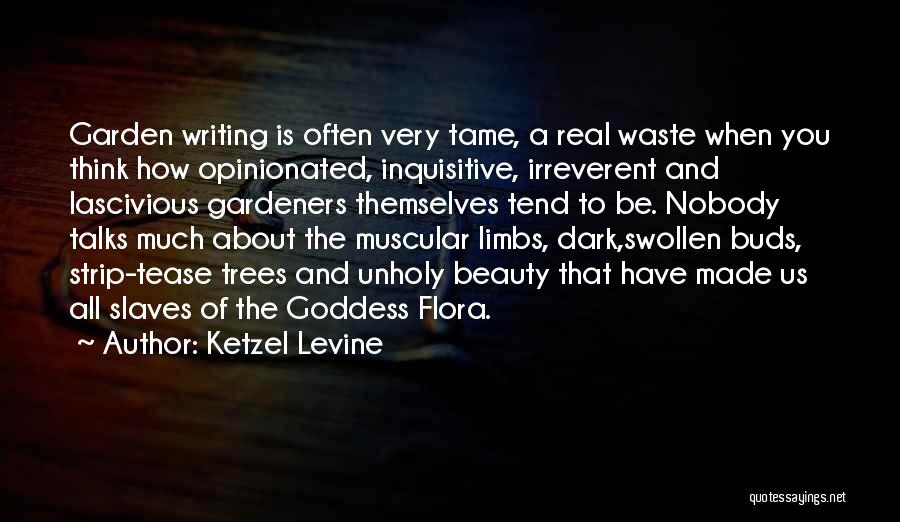 The Beauty Of Writing Quotes By Ketzel Levine