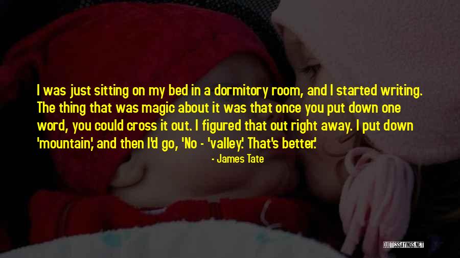 The Bed Sitting Room Quotes By James Tate