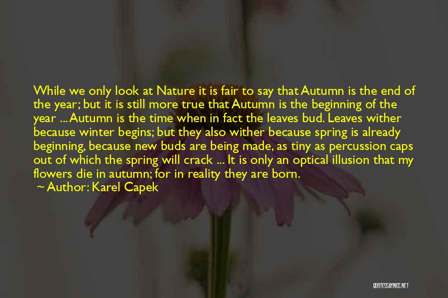 The Beginning Of A New Year Quotes By Karel Capek