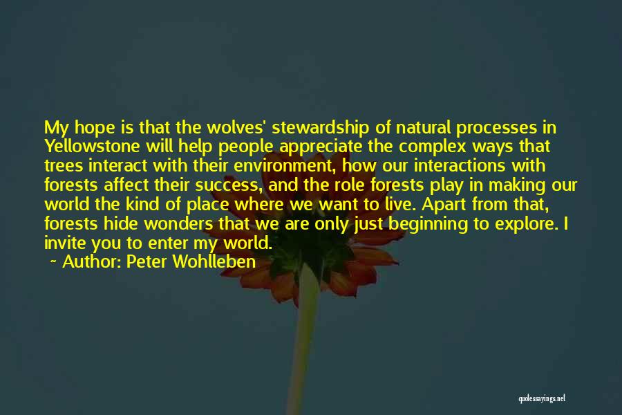 The Beginning Of Success Quotes By Peter Wohlleben