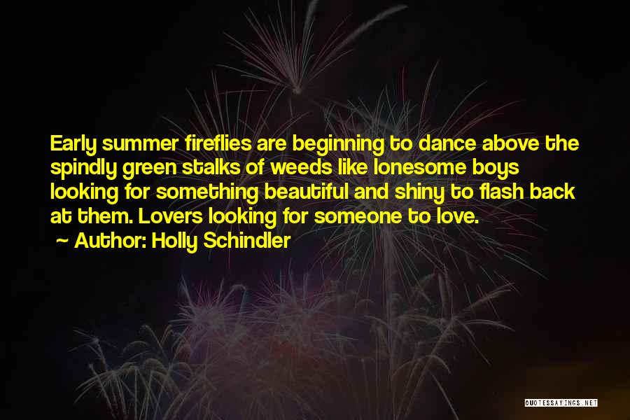 The Beginning Of Summer Quotes By Holly Schindler