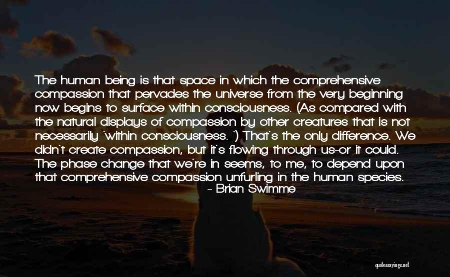 The Beginning Of The Universe Quotes By Brian Swimme