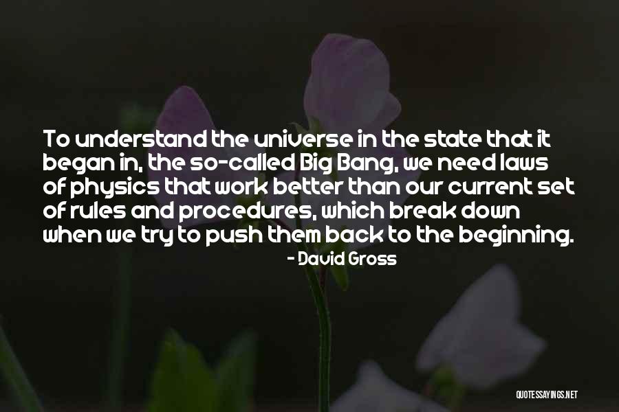 The Beginning Of The Universe Quotes By David Gross