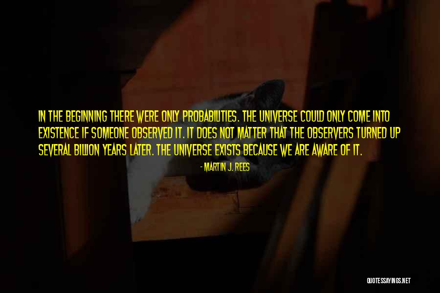 The Beginning Of The Universe Quotes By Martin J. Rees