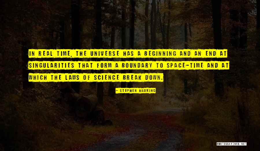 The Beginning Of The Universe Quotes By Stephen Hawking
