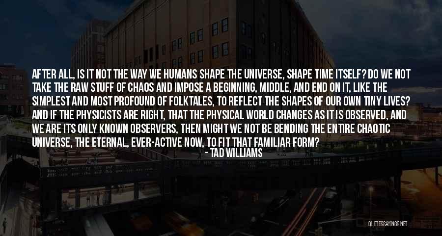 The Beginning Of The Universe Quotes By Tad Williams