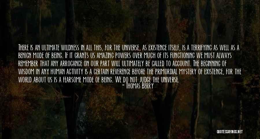 The Beginning Of The Universe Quotes By Thomas Berry