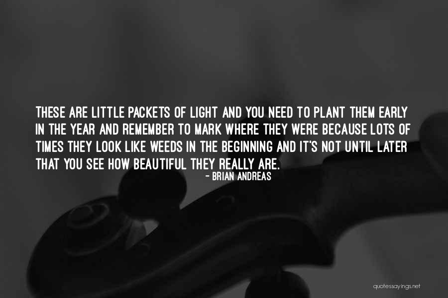 The Beginning Of The Year Quotes By Brian Andreas The Beginning Of The Year Quotes By Brian Andreas