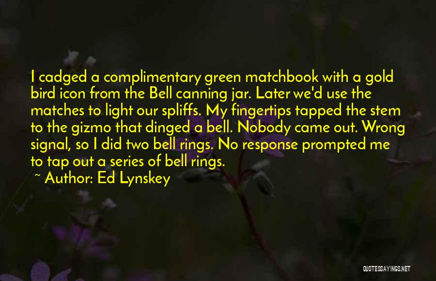 The Bell Jar Quotes By Ed Lynskey