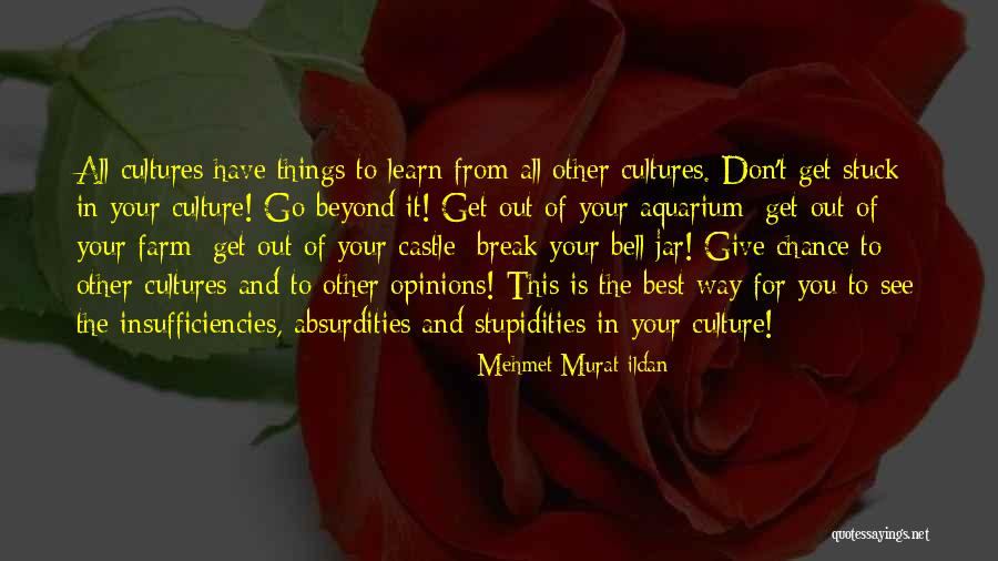 The Bell Jar Quotes By Mehmet Murat Ildan