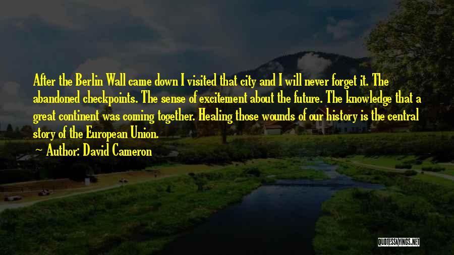 The Berlin Wall Quotes By David Cameron
