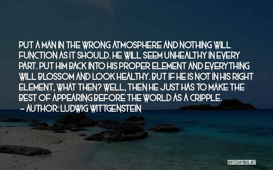 The Best Atmosphere Quotes By Ludwig Wittgenstein