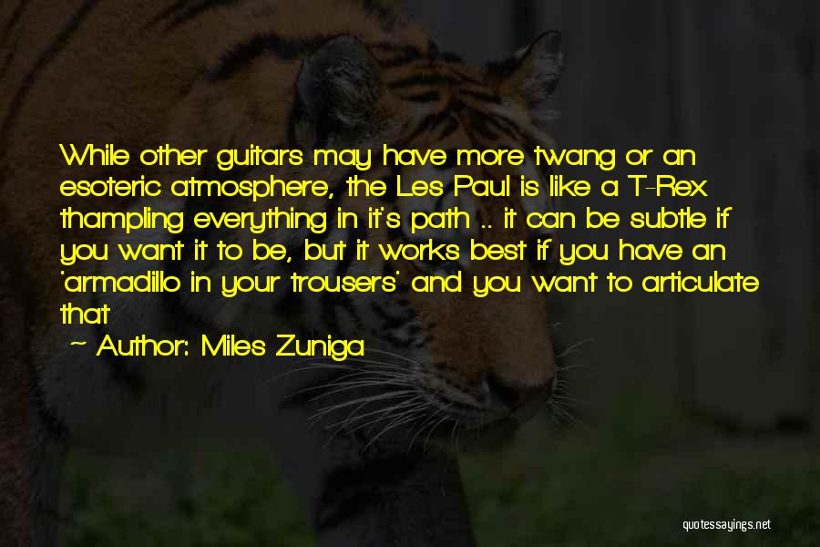 The Best Atmosphere Quotes By Miles Zuniga