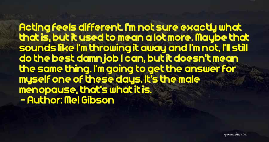 The Best Damn Thing Quotes By Mel Gibson