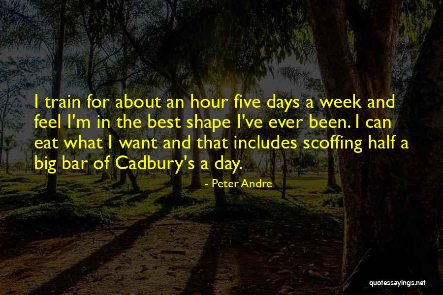 The Best Day Ever Quotes By Peter Andre The Best Day Ever Quotes By Peter Andre