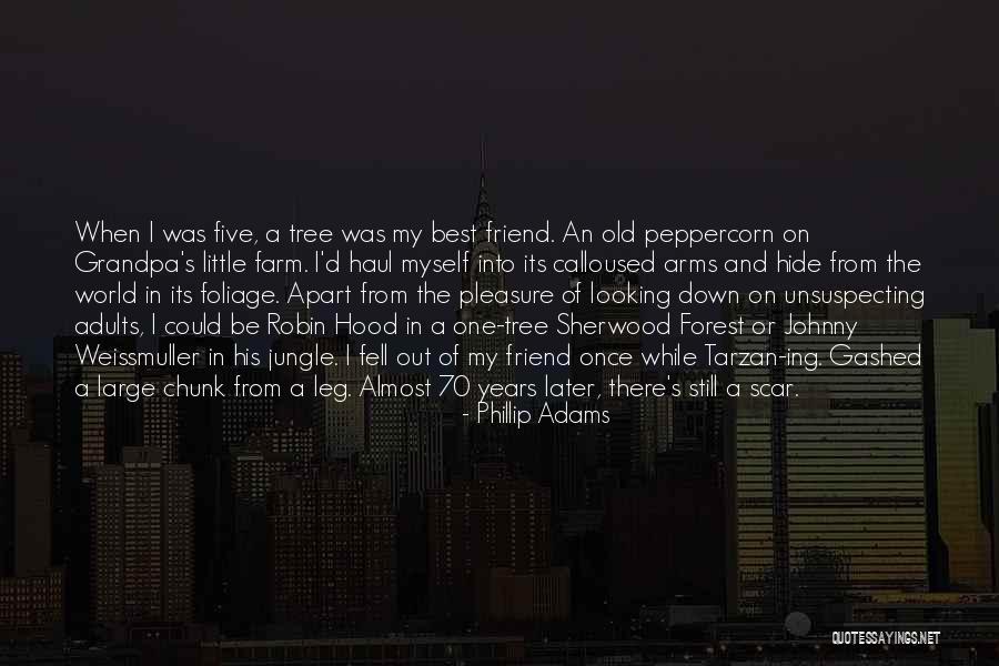 The Best Hood Quotes By Phillip Adams The Best Hood Quotes By Phillip Adams