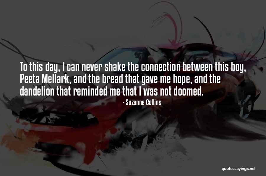 The Best Hunger Games Quotes By Suzanne Collins The Best Hunger Games Quotes By Suzanne Collins