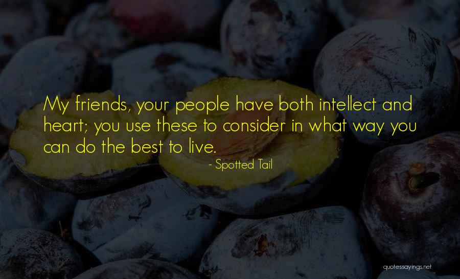 The Best In What You Do Quotes By Spotted Tail The Best In What You Do Quotes By Spotted Tail