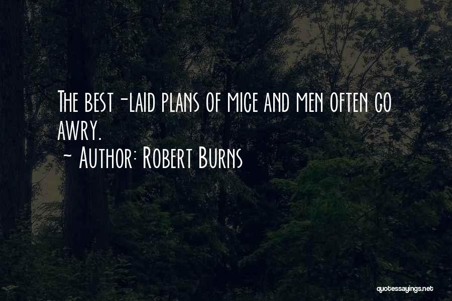The Best Laid Plans Quotes By Robert Burns