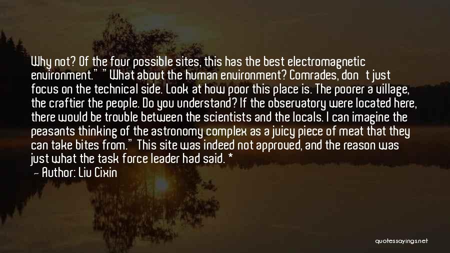 The Best Leader Quotes By Liu Cixin