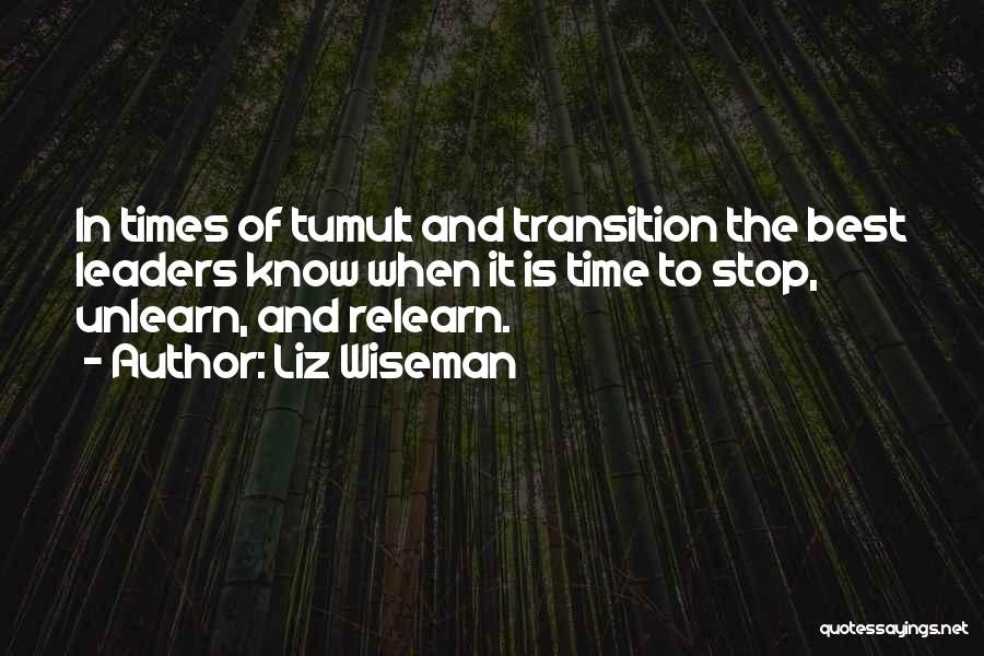 The Best Leaders Quotes By Liz Wiseman