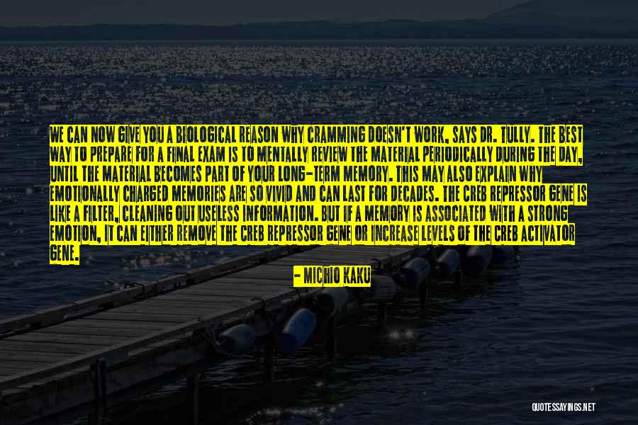 The Best Memories Quotes By Michio Kaku The Best Memories Quotes By Michio Kaku
