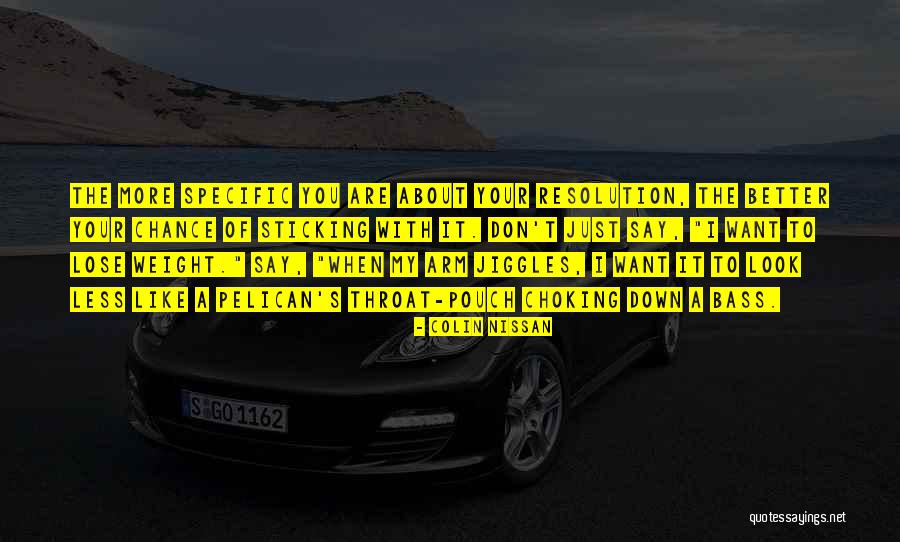 The Best New Years Resolution Quotes By Colin Nissan The Best New Years Resolution Quotes By Colin Nissan