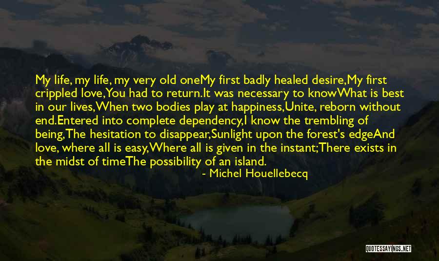 The Best Of All Time Love Quotes By Michel Houellebecq The Best Of All Time Love Quotes By Michel Houellebecq