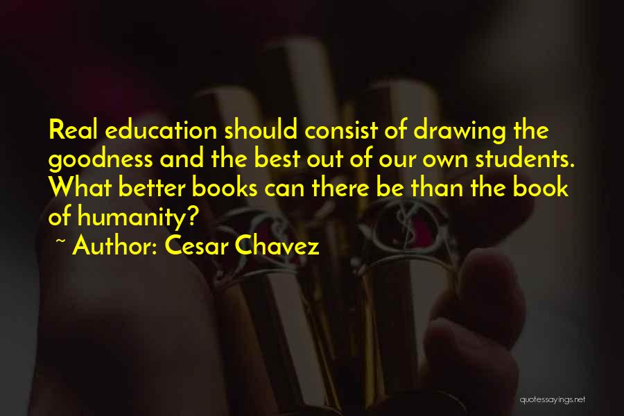 The Best Of Humanity Quotes By Cesar Chavez