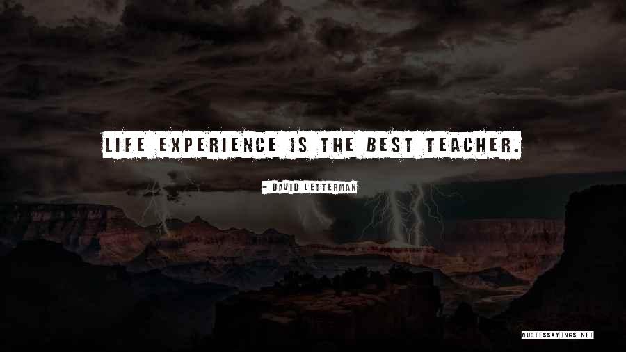 The Best Teacher Quotes By David Letterman The Best Teacher Quotes By David Letterman