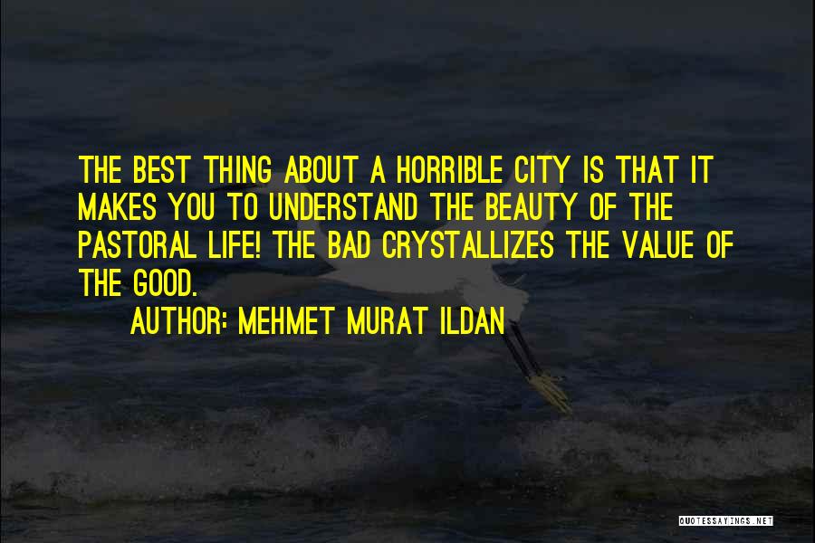 The Best Thing About Quotes By Mehmet Murat Ildan