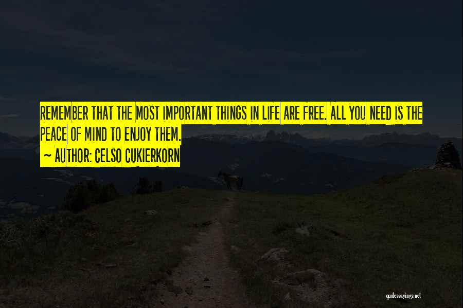 The Best Things In Life Are Free Quotes By Celso Cukierkorn