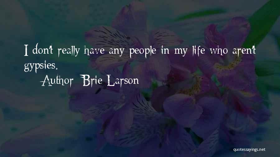 The Best Things In Life Aren't Things Quotes By Brie Larson