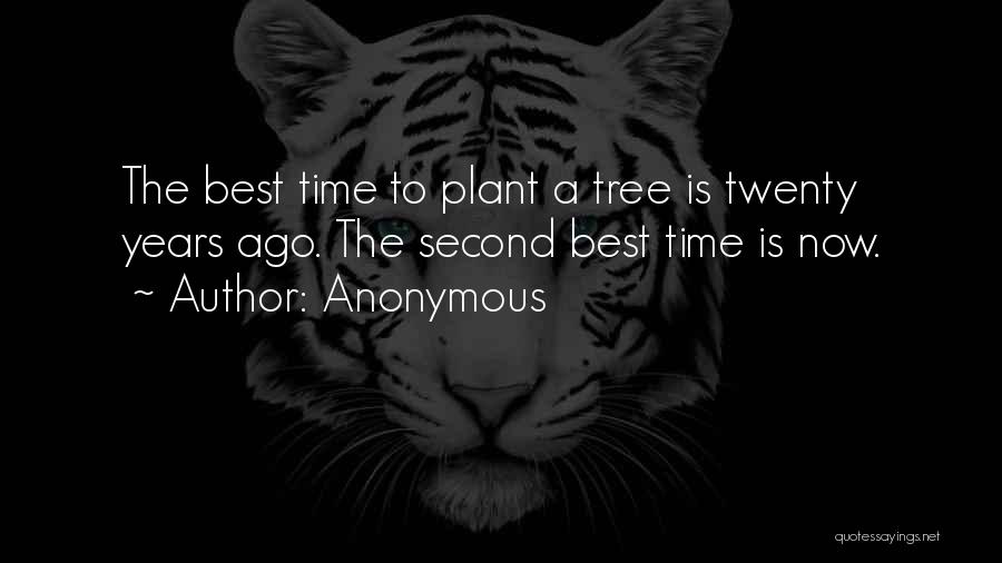 The Best Time Is Now Quotes By Anonymous