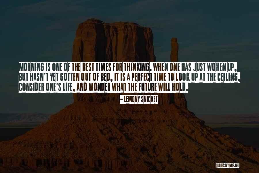 The Best Time Of Life Quotes By Lemony Snicket The Best Time Of Life Quotes By Lemony Snicket