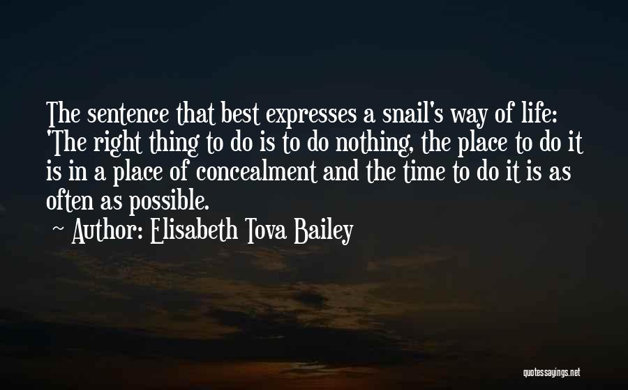 The Best Way Quotes By Elisabeth Tova Bailey