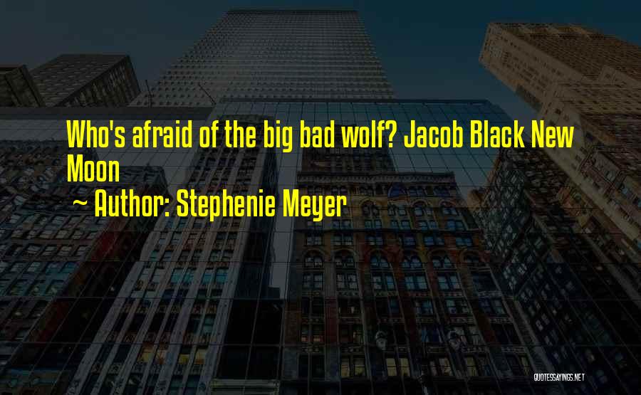 The Big Bad Wolf Quotes By Stephenie Meyer