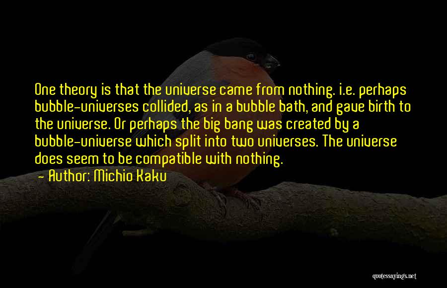The Big Bang Theory Quotes By Michio Kaku