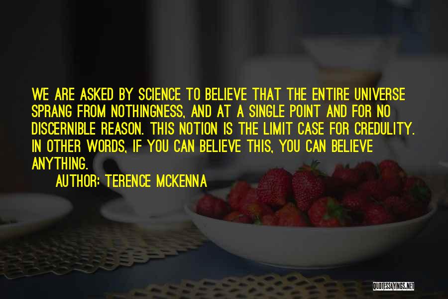 The Big Bang Theory Quotes By Terence McKenna