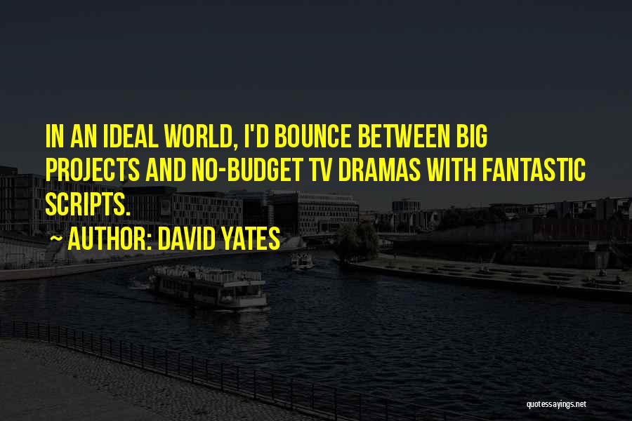 The Big Bounce Quotes By David Yates