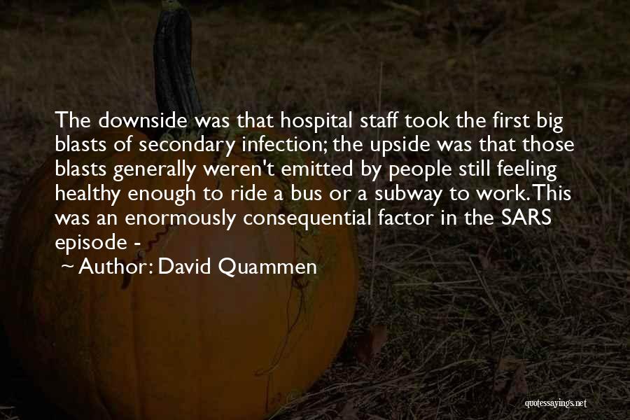 The Big Bus Quotes By David Quammen