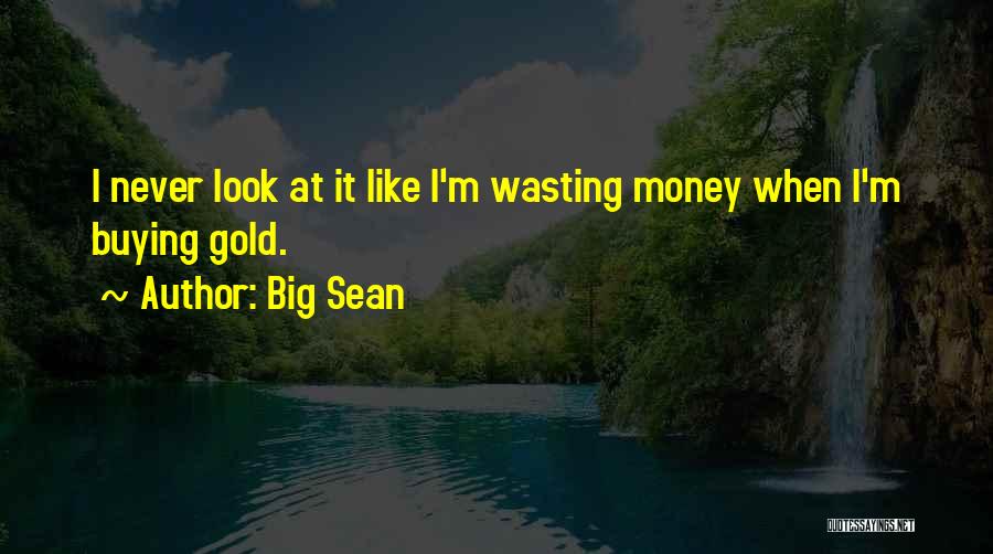 The Big C Sean Quotes By Big Sean