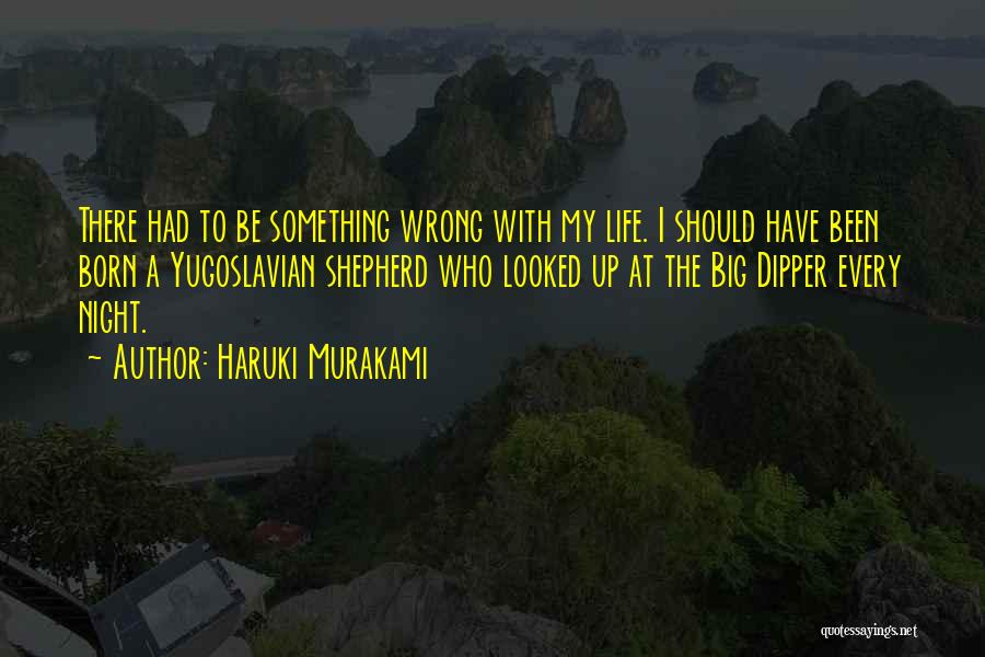 The Big Dipper Quotes By Haruki Murakami