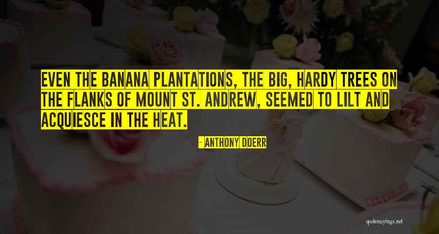 The Big Heat Quotes By Anthony Doerr The Big Heat Quotes By Anthony Doerr